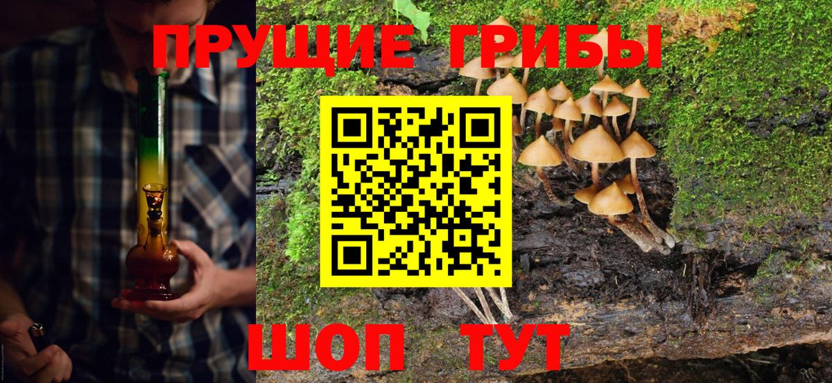 Галлюциногенные грибы MAGIC MUSHROOMS  Вход с VPN  Набережные Челны 